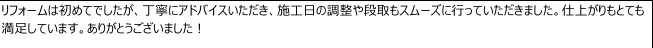 リクシルキッチン にゃん壁